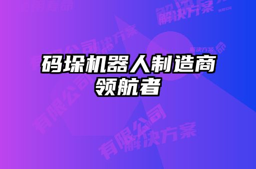 码垛机器人制造商领航者