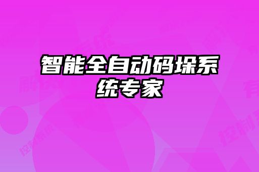 智能全自动码垛系统专家