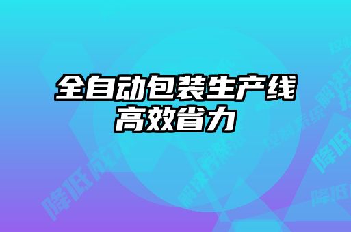 全自动包装生产线高效省力