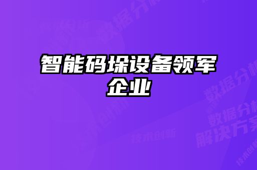 智能码垛设备领军企业