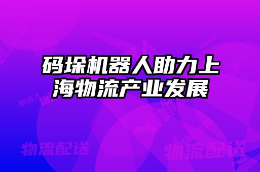 码垛机器人助力上海物流产业发展