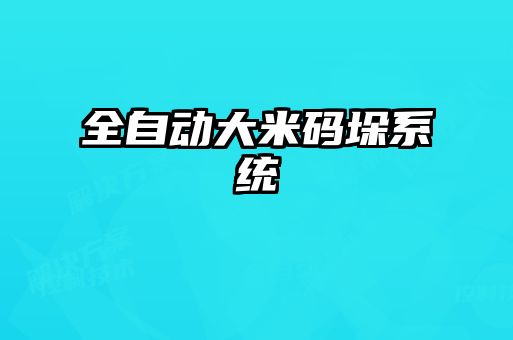 全自动大米码垛系统