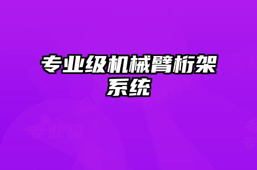 专业级机械臂桁架系统