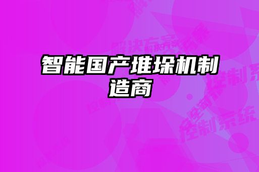 智能国产堆垛机制造商