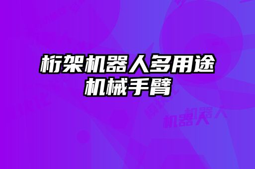 桁架机器人多用途机械手臂