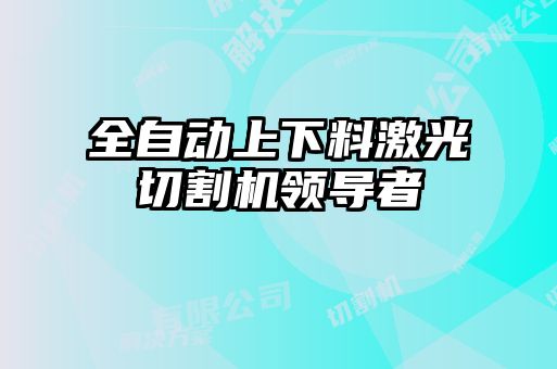 全自动上下料激光切割机领导者