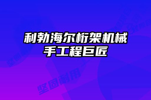 利勃海尔桁架机械手工程巨匠