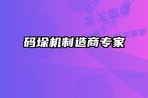 码垛机制造商专家