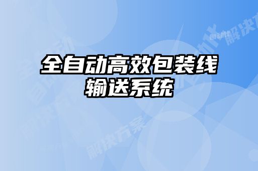 全自动高效包装线输送系统