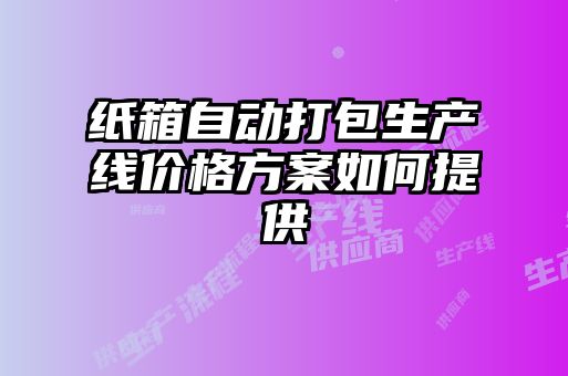 纸箱自动打包生产线价格方案如何提供