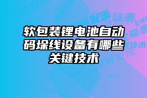 软包装锂电池自动码垛线设备有哪些关键技术