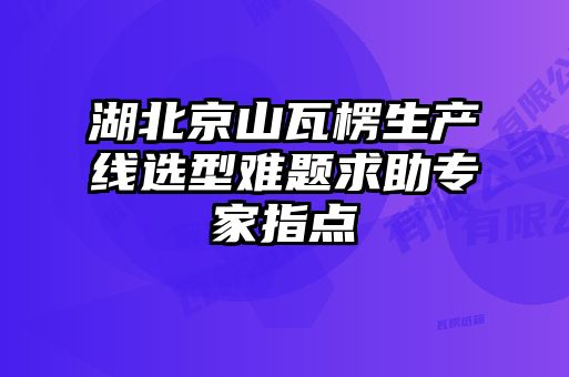 湖北京山瓦楞生产线选型难题求助专家指点