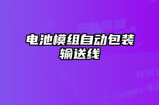 电池模组自动包装输送线