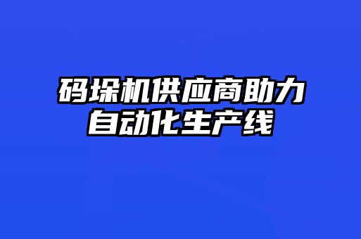 码垛机供应商助力自动化生产线