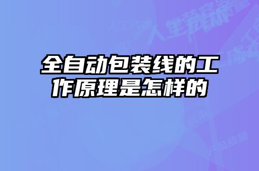 全自动包装线的工作原理是怎样的