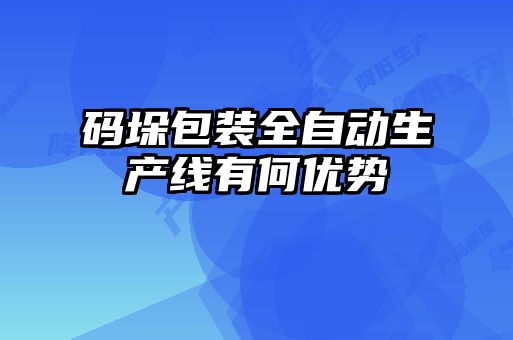 码垛包装全自动生产线有何优势