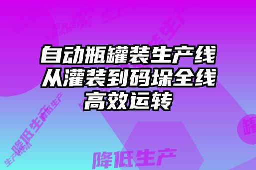 自动瓶罐装生产线从灌装到码垛全线高效运转