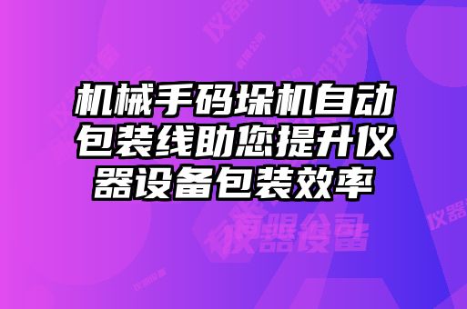 机械手码垛机自动包装线助您提升仪器设备包装效率