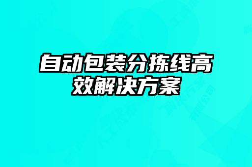 自动包装分拣线高效解决方案