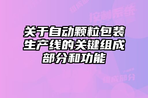 关于自动颗粒包装生产线的关键组成部分和功能