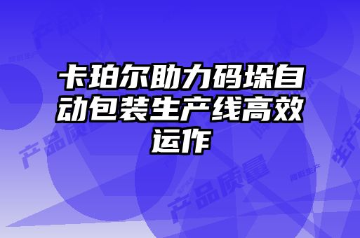 卡珀尔助力码垛自动包装生产线高效运作