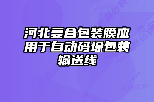 河北复合包装膜应用于自动码垛包装输送线