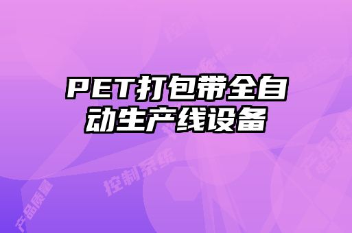 PET打包带全自动生产线设备