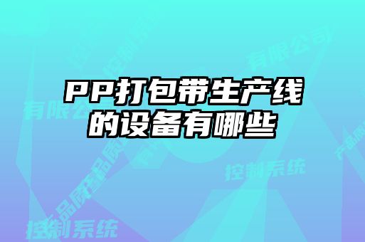 PP打包带生产线的设备有哪些