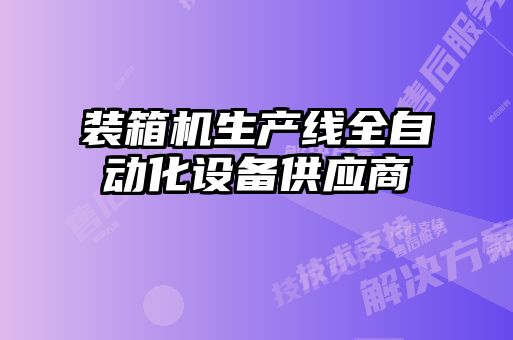 装箱机生产线全自动化设备供应商