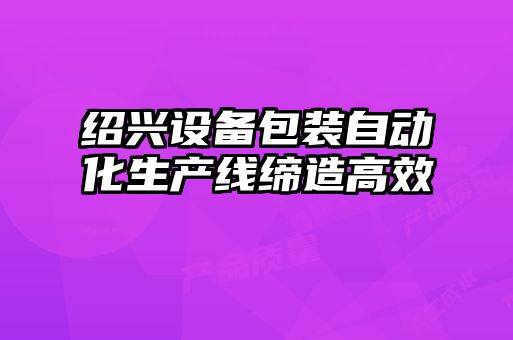 绍兴设备包装自动化生产线缔造高效