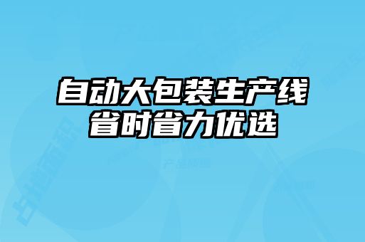 自动大包装生产线省时省力优选