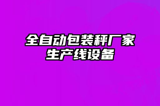 全自动包装秤厂家生产线设备