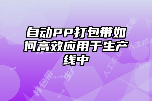 自动PP打包带如何高效应用于生产线中