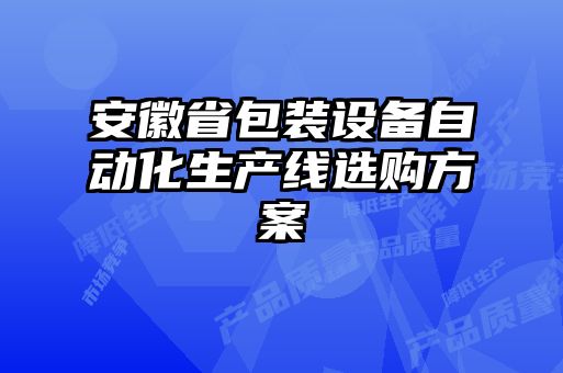 安徽省包装设备自动化生产线选购方案