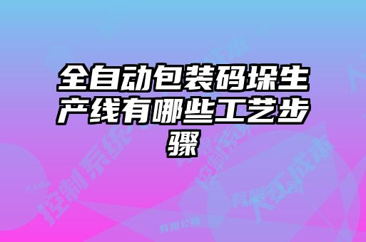 全自动包装码垛生产线有哪些工艺步骤