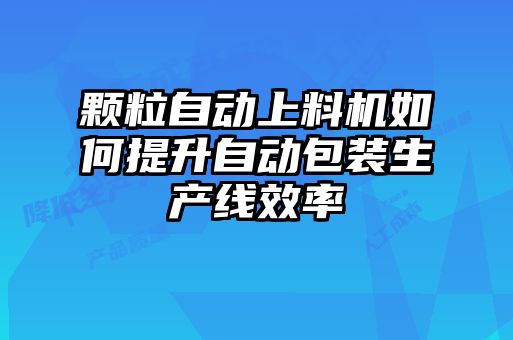 颗粒自动上料机如何提升自动包装生产线效率