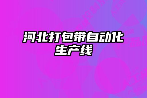 河北打包带自动化生产线