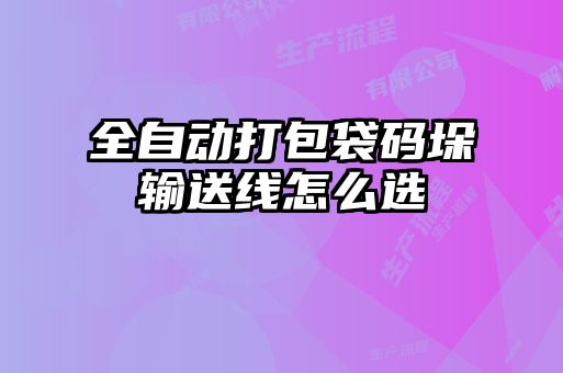 全自动打包袋码垛输送线怎么选