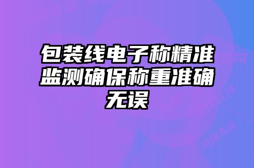 包装线电子称精准监测确保称重准确无误