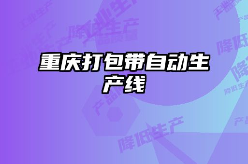 重庆打包带自动生产线