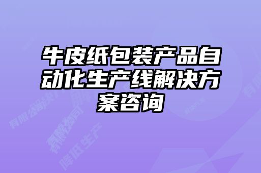 牛皮纸包装产品自动化生产线解决方案咨询