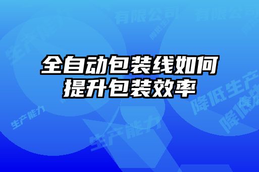 全自动包装线如何提升包装效率