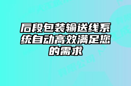 后段包装输送线系统自动高效满足您的需求