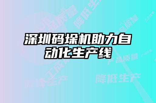 深圳码垛机助力自动化生产线