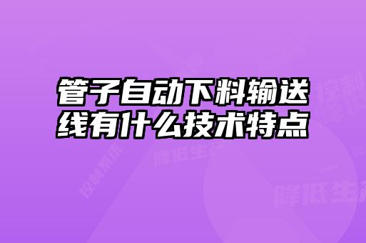 管子自动下料输送线有什么技术特点