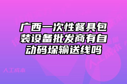 广西一次性餐具包装设备批发商有自动码垛输送线吗