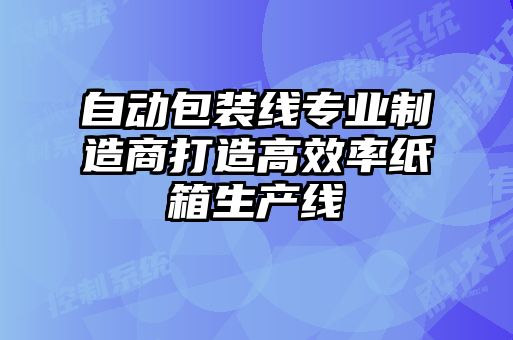 自动包装线专业制造商打造高效率纸箱生产线