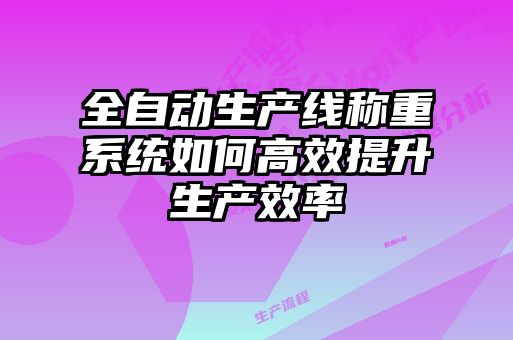 全自动生产线称重系统如何高效提升生产效率