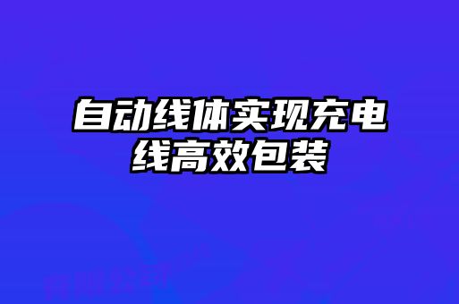 自动线体实现充电线高效包装