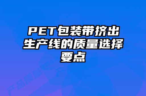 PET包装带挤出生产线的质量选择要点